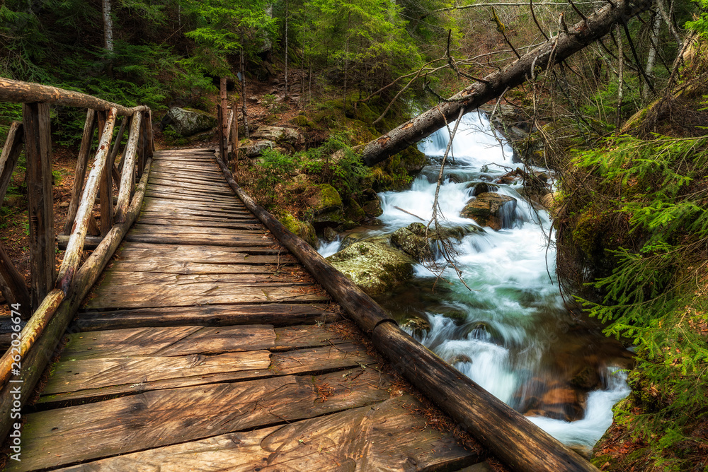Wooden bridge in the forest. Canyon of waterfalls in Rhodope mountain, Bulgaria. Wooden bridge in the forest. Canyon of waterfalls in Rhodope mountain, Bulgaria.