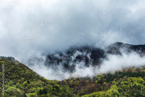 Spring in misty mountain © Petar