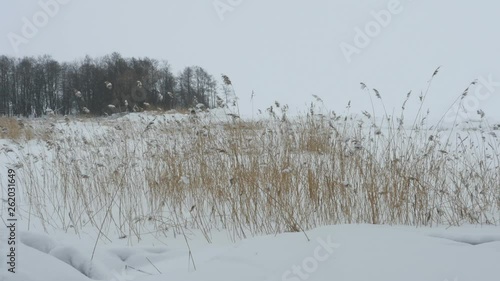 Wallpaper Mural Lakeside white winter landscape panorama Torontodigital.ca