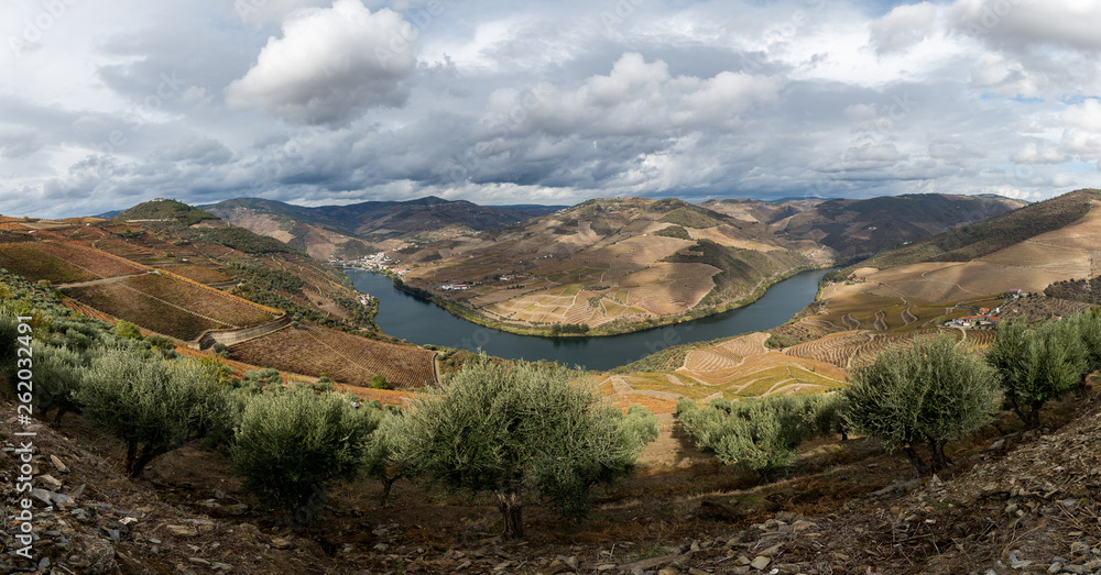 Fototapeta premium Douro - Portugal