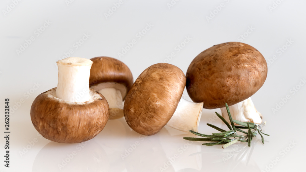 brown champignon mushrooms on white background brown champignon mushrooms on white background