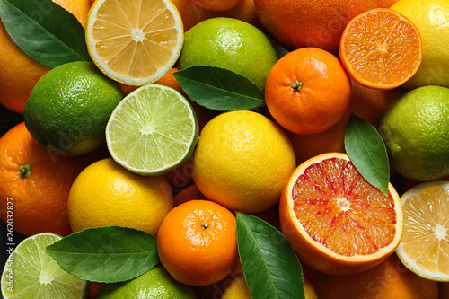 Many different citrus fruits as background  top view