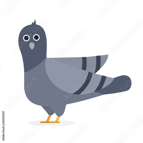 Pigeon bird icon in flat cartoon character design. Isolated on white background