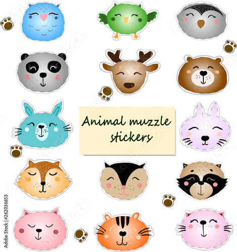 Stickers with cute animal muzzles. Wild animals portrait set with flat design. Vector illustration