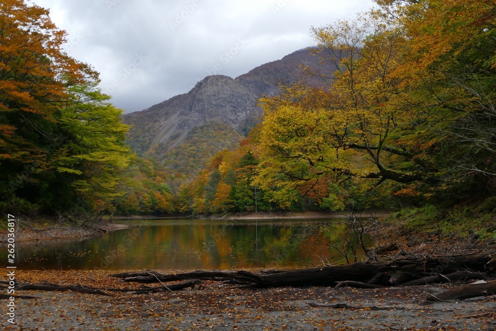 Fototapeta premium 《十二湖の紅葉》青森県深浦町