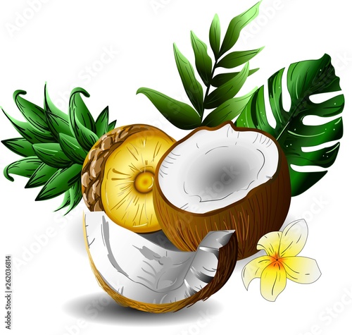 Tropical ripe fresh pineapples and coconuts with leaf. Vector illustration.