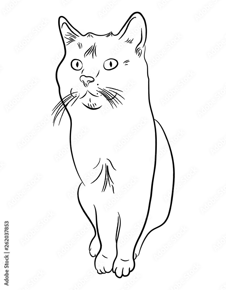 Cat hand-drawn outline, circuit. Vector illustration isolated on white background. Cat hand-drawn outline, circuit. Vector illustration isolated on white background.