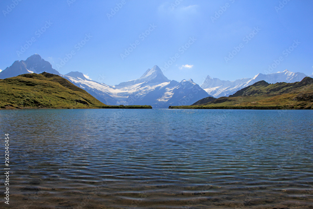 Obraz premium berner alpen, schweiz 