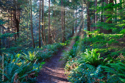 The magical landscapes and waterfalls with sunsets of the Pacific North West Chilliwack and Bowen Island BC along with rain forests and pure nature scenics
