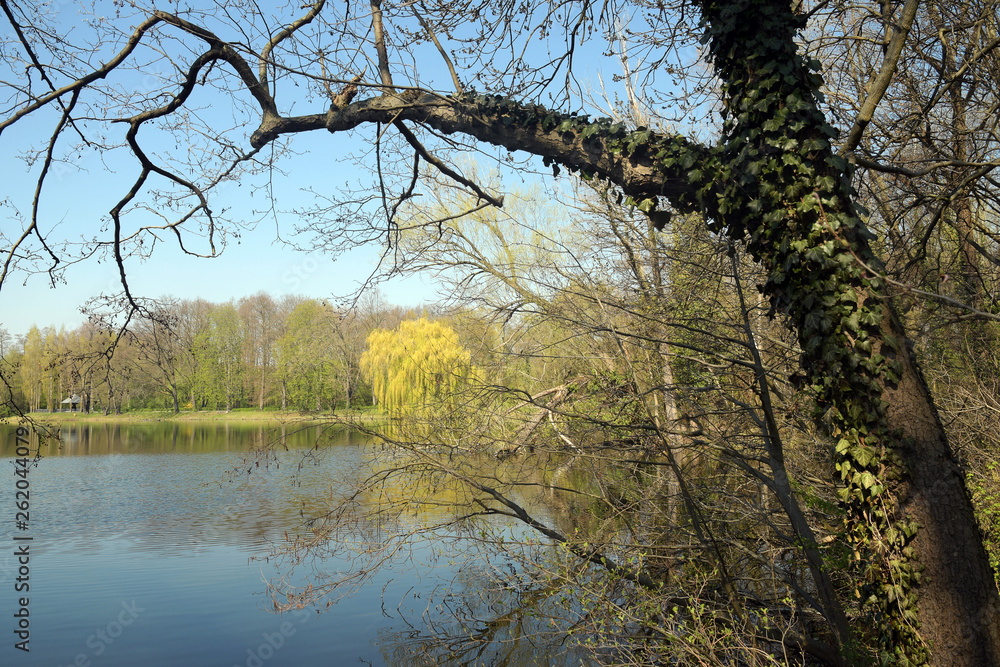 Obraz premium jungfernheide