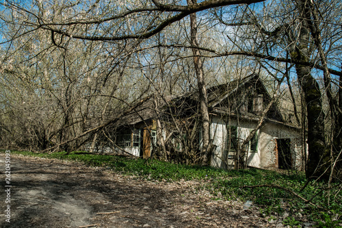 Old abandoned country house in the exclusion zone. Consequences of the Chernobyl nuclear disaster