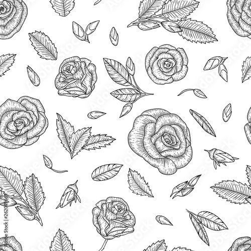 Black and white seamless pattern with roses. Engraving style floral background. Graphic line drawing backdrop. Hand drawn illustration