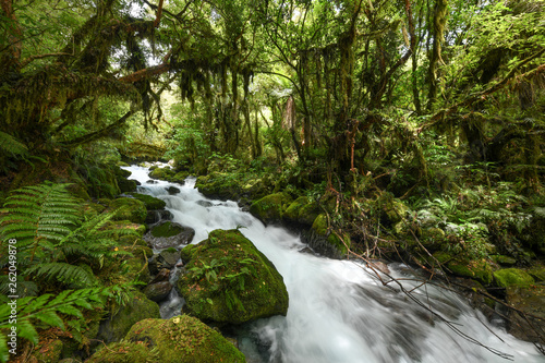 Hollyford Track New Zealand