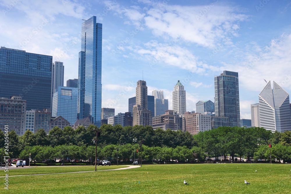 Obraz premium Chicago Grant Park