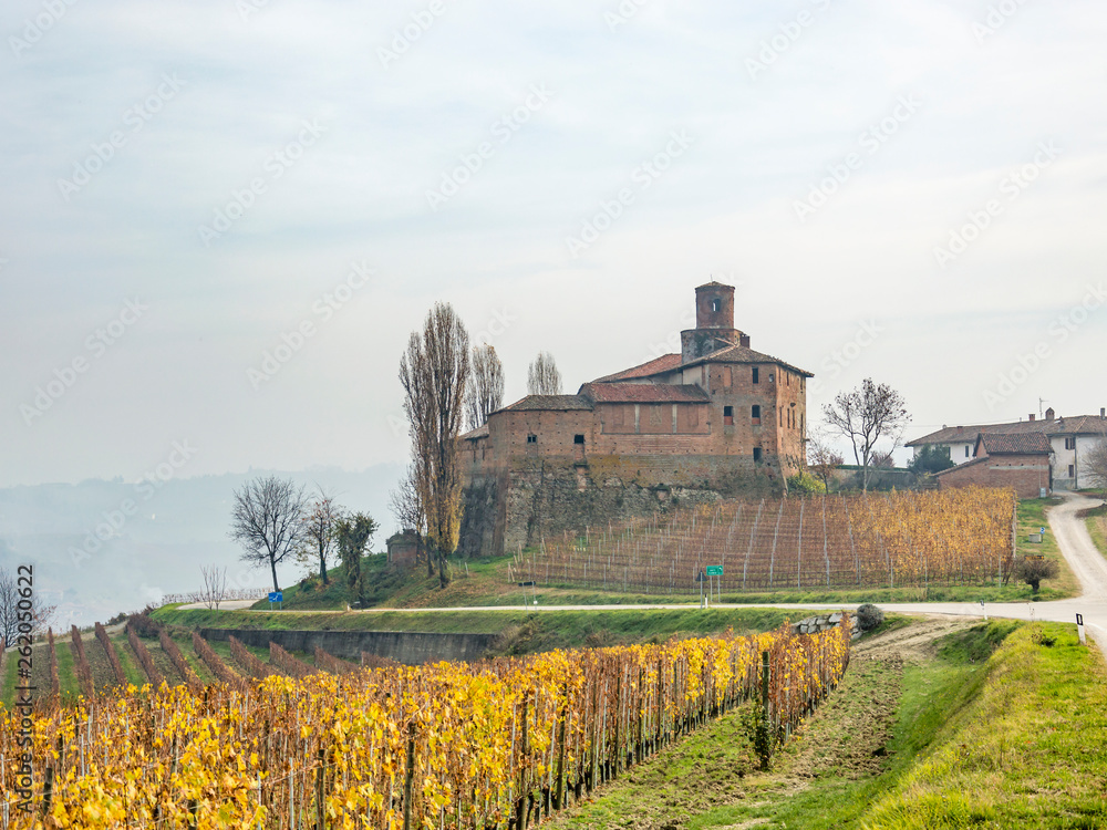 Scenic view of the freshly harvested grape fields in autumn in Barolo valley