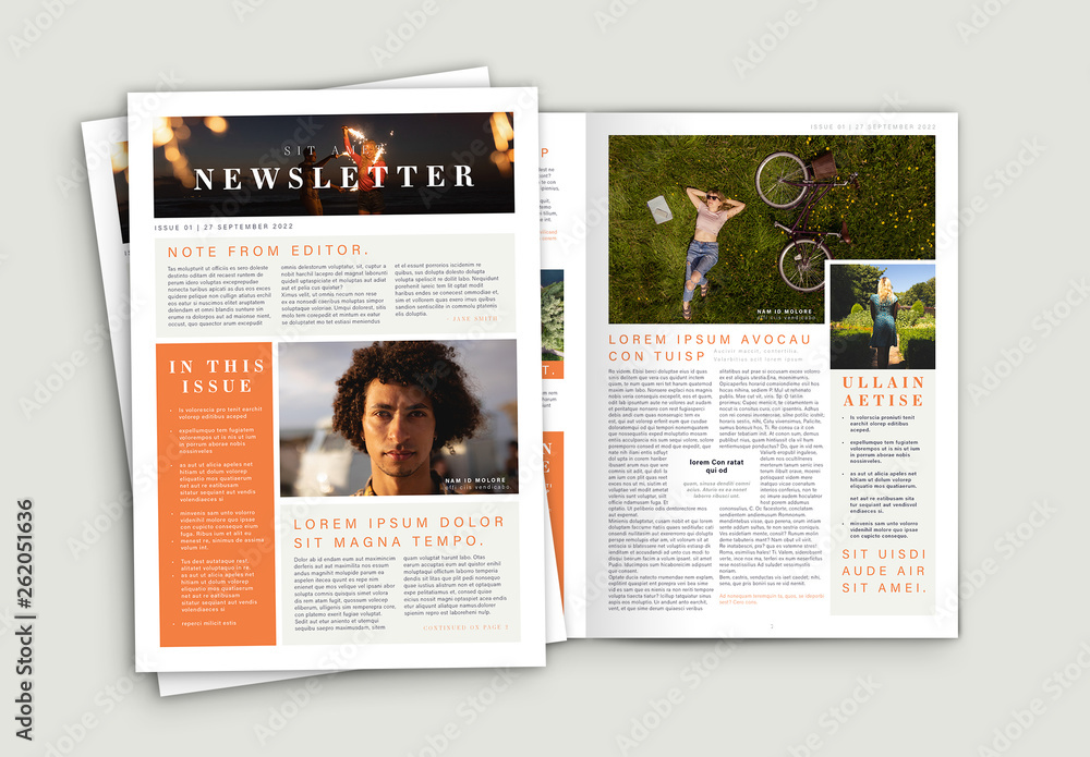 Newsletter with Orange Accents Stock Template | Adobe Stock