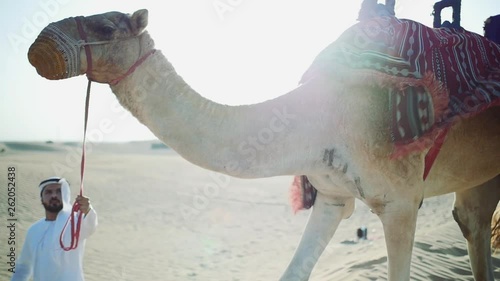 Man wearing kandura traditional clothes walking his camel in Dubai photo