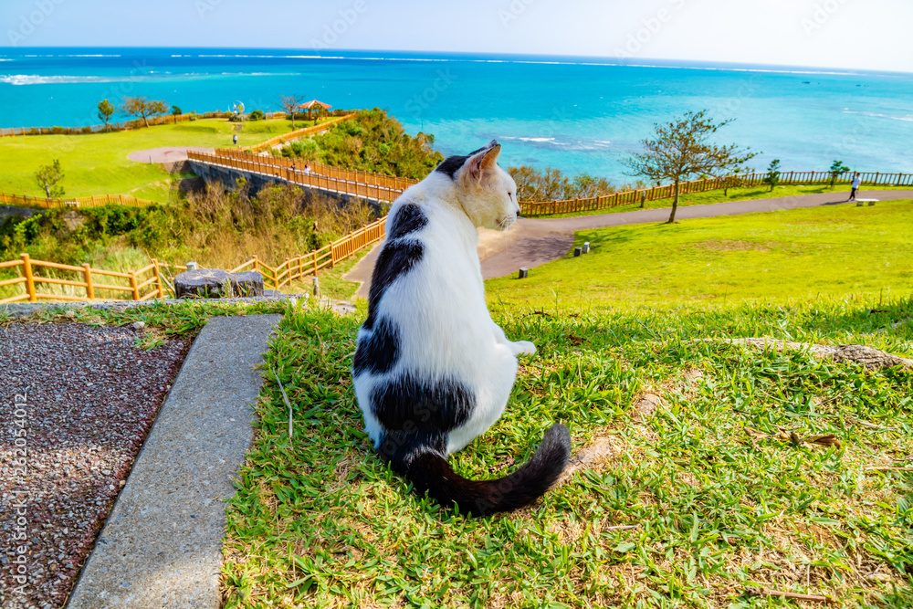 沖縄の綺麗な景色 Stock-Foto | Adobe Stock