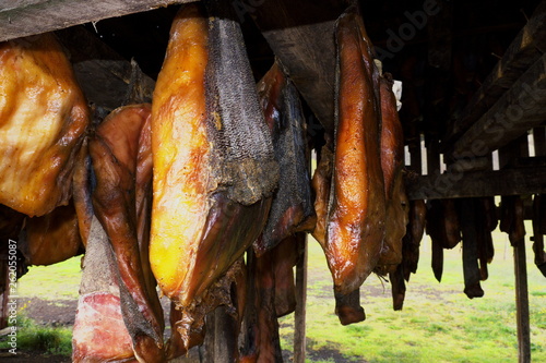 Rotten shark meat in Iceland