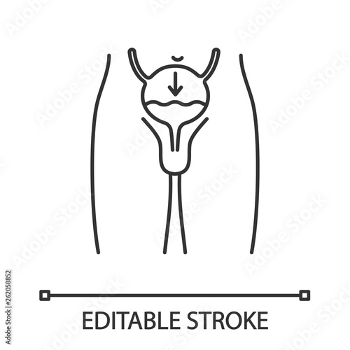 Urinary incontinence linear icon