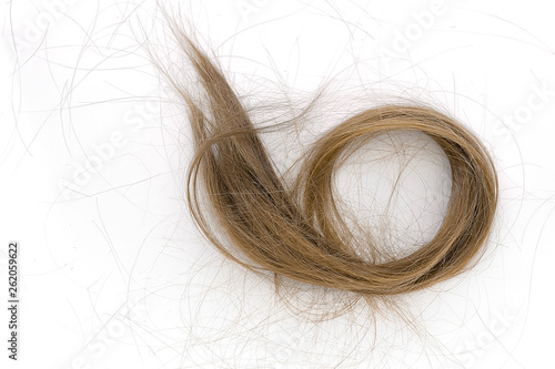 Fotografija Brown hair cut off on white background