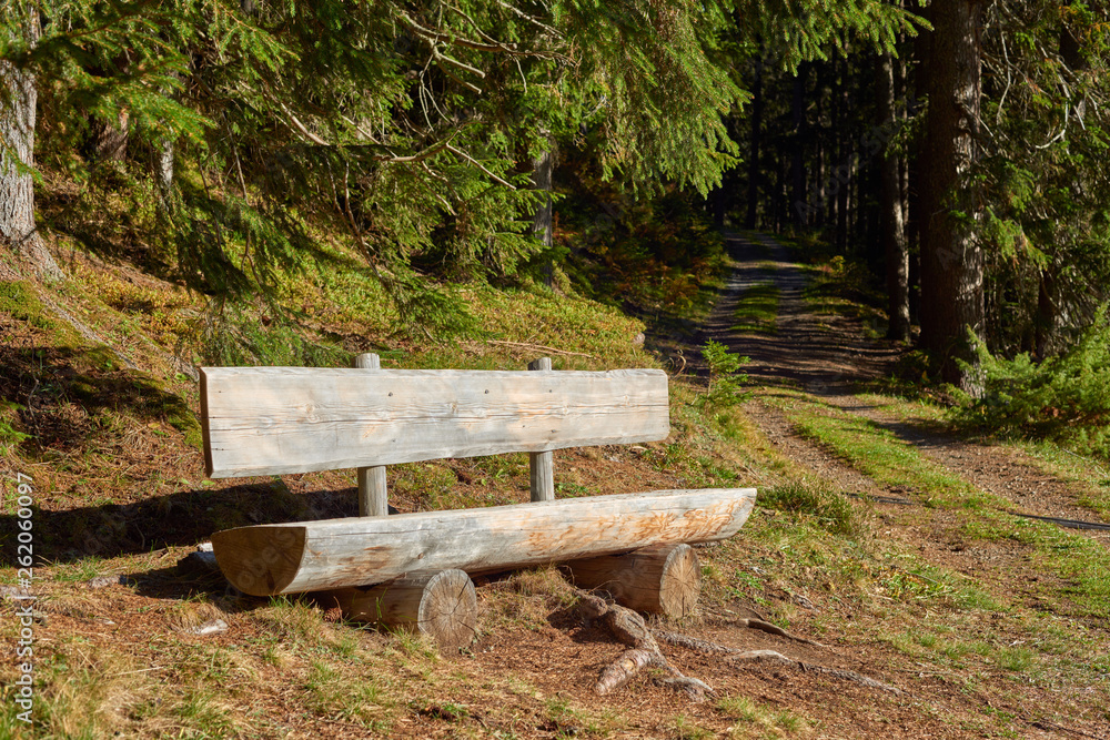 Wooden bench for relax near the mountain forest road near swiss alpine village Wengen in Switzerland.