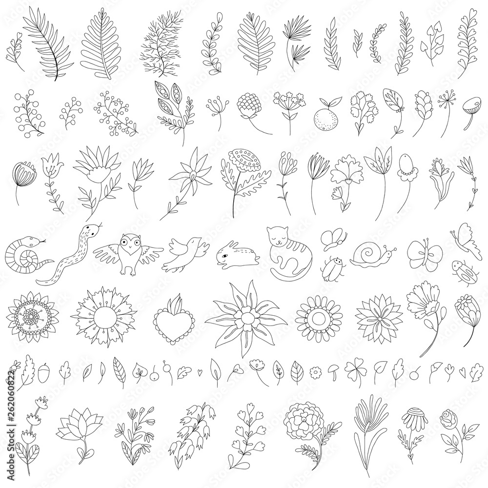 collection of hand-drawn flowers, branches, leaves and animals. Set of ...