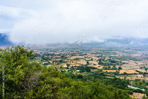 Landscape and Olive Groves in south Crete