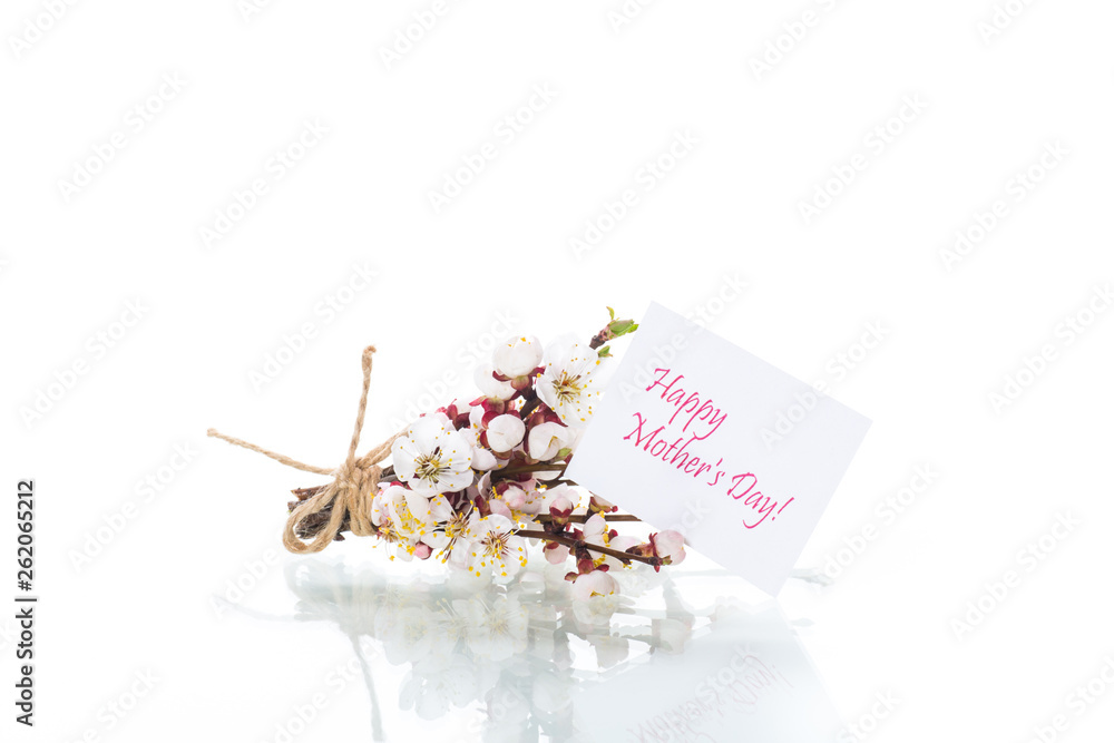 Branch with apricot flowers on a white background - obrazy, fototapety, plakaty 