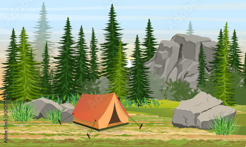 Tent in the valley near the spruce forest and large stones. Hiking and camping in Europe and America. Realistic Vector Landscape