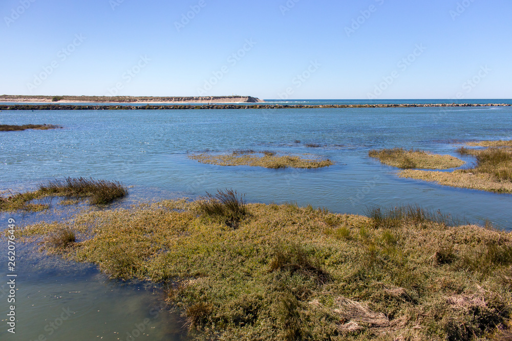 River flowing into the sea. Bay shore on sunny day. Scenic panorama of summer seacoast. Travel and tourism concept. Atlantic Ocean coast. Bay coast with grass and sand. River flowing into the sea. Bay shore on sunny day. Scenic panorama of summer seacoast. Travel and tourism concept. Atlantic Ocean coast. Bay coast with grass and sand.