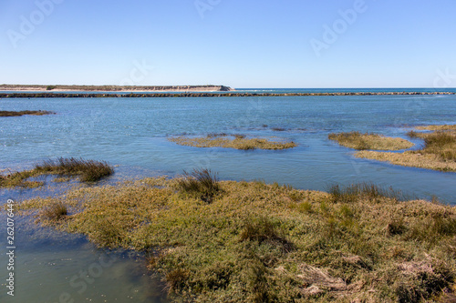 River flowing into the sea. Bay shore on sunny day. Scenic panorama of summer seacoast. Travel and tourism concept. Atlantic Ocean coast. Bay coast with grass and sand.