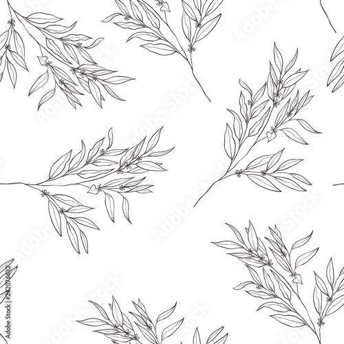 Seamless botanical line art pattern. Background with eucalyptus.