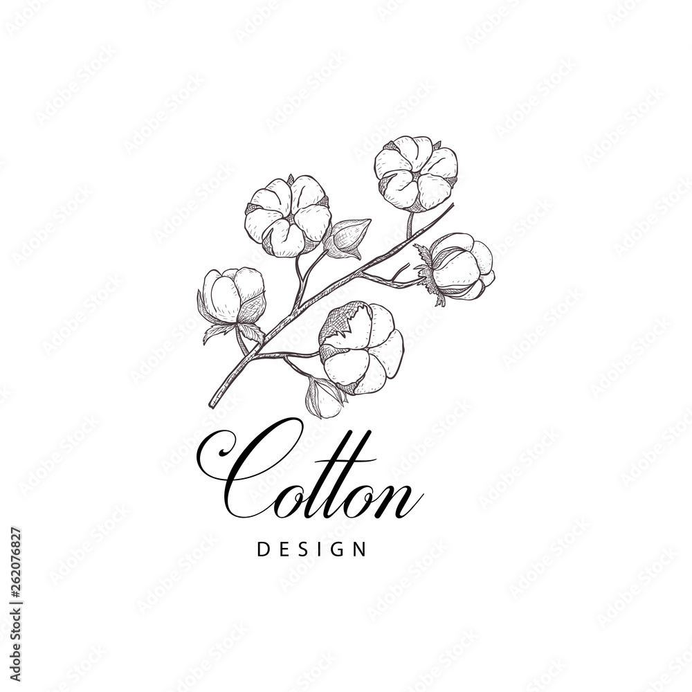 Floral hand drawn design elements. Line art isolated on the white background.