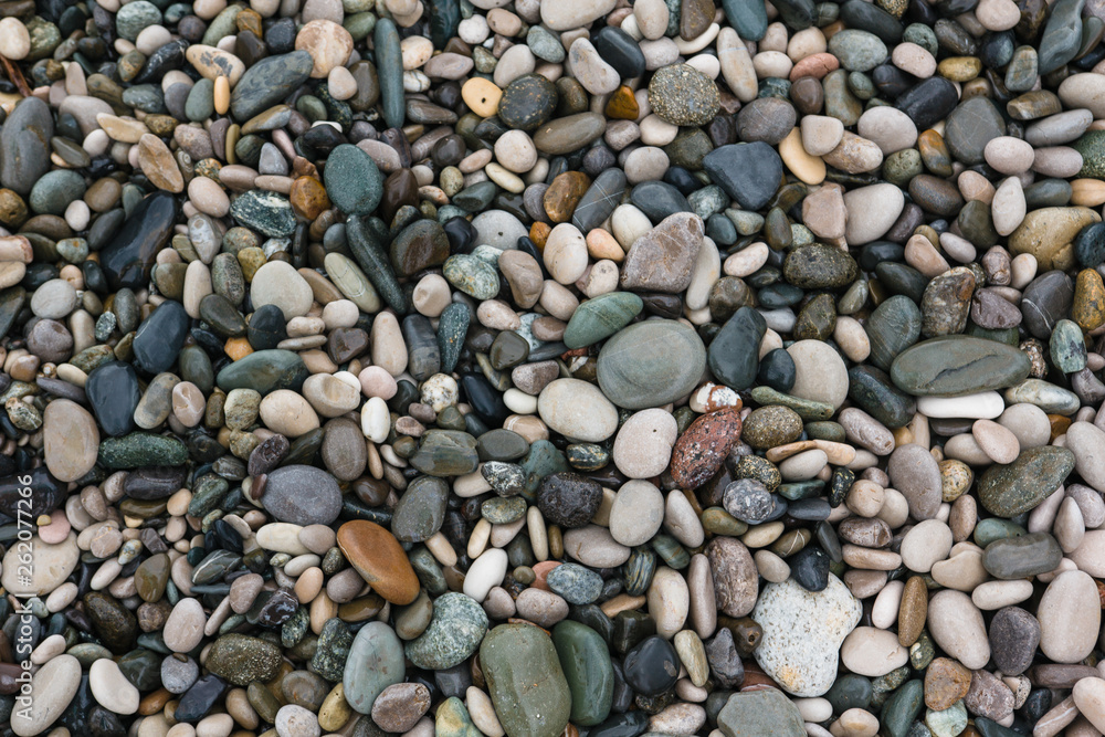 wet beach pebbles. natural texture. copy space wet beach pebbles. natural texture. copy space