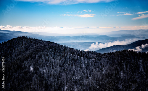 Misty white clouds forming on top of a rocky mountain / yenice forest in karabuk turkey	 photo