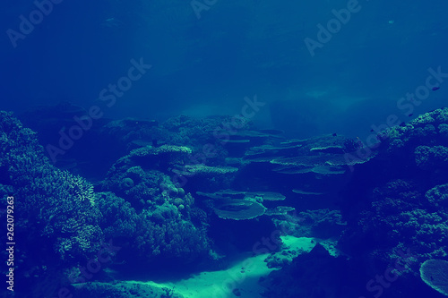 coral reef vintage toning / unusual landscape, underwater life, ocean nature