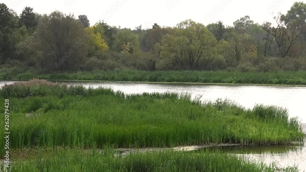 Beautiful landscape with a small river and shore with grass and bushes on a summer day. Beautiful landscape with a small river and shore with grass and bushes on a summer day.
