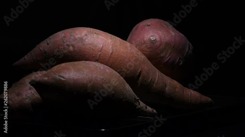 Raw sweet potatoes gyrating. Ipomoea Batatas photo