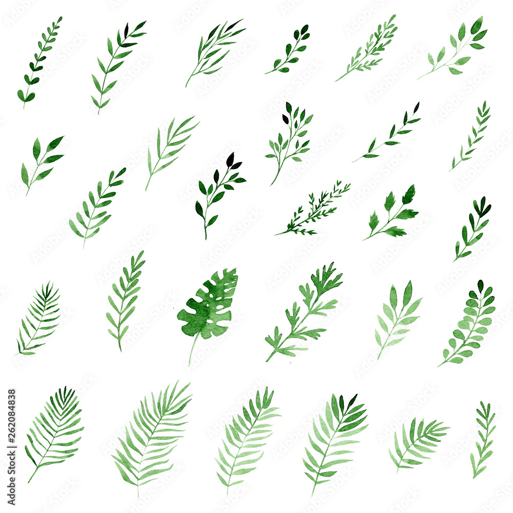 set of watercolor tropical leaves set of watercolor tropical leaves