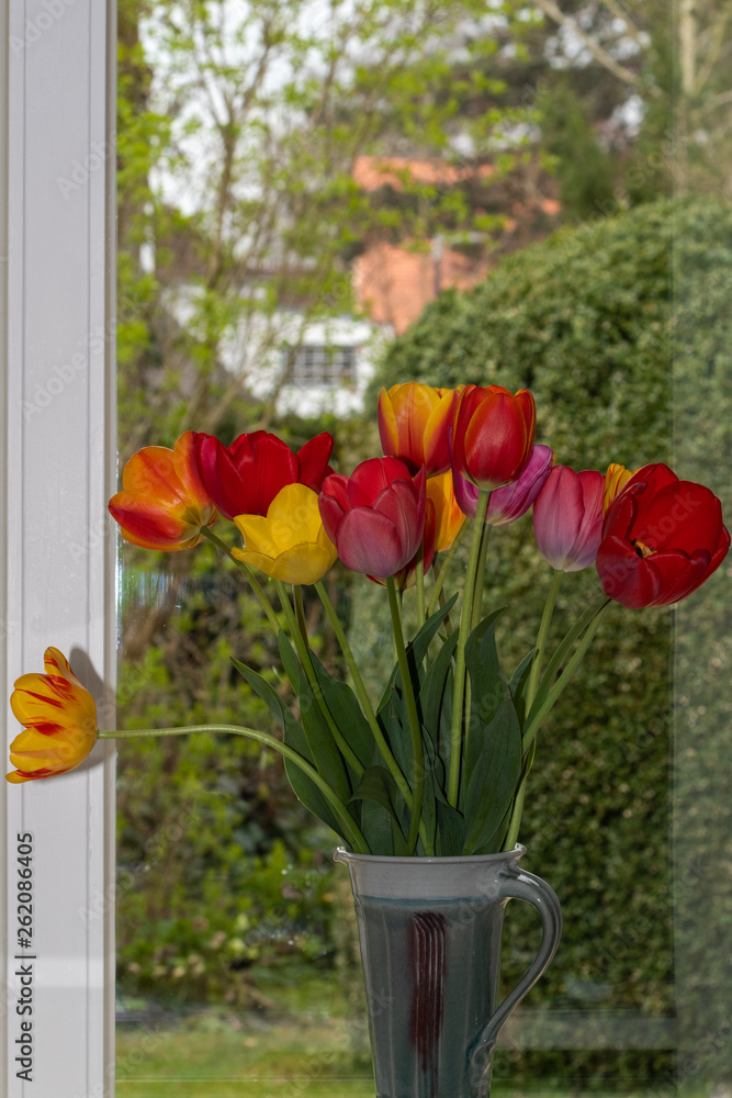 Tulpenstrauss am Fenster Tulpenstrauss am Fenster
