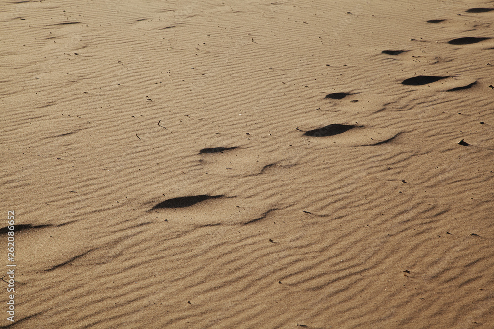 Background texture of wavy sand. Annual growth of area of sand. Sand dunes with footsteps for holiday vacation concept Background texture of wavy sand. Annual growth of area of sand. Sand dunes with footsteps for holiday vacation concept