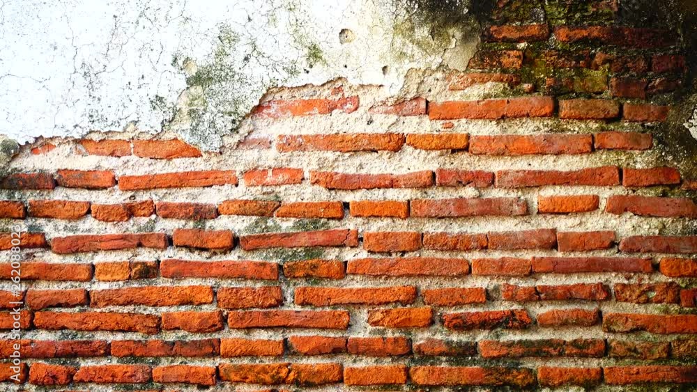 4K Grungy urban background of a brick old more than 150 years grungy texture grey concrete tree on wall texture patterns 4K Grungy urban background of a brick old more than 150 years grungy texture grey concrete tree on wall texture patterns