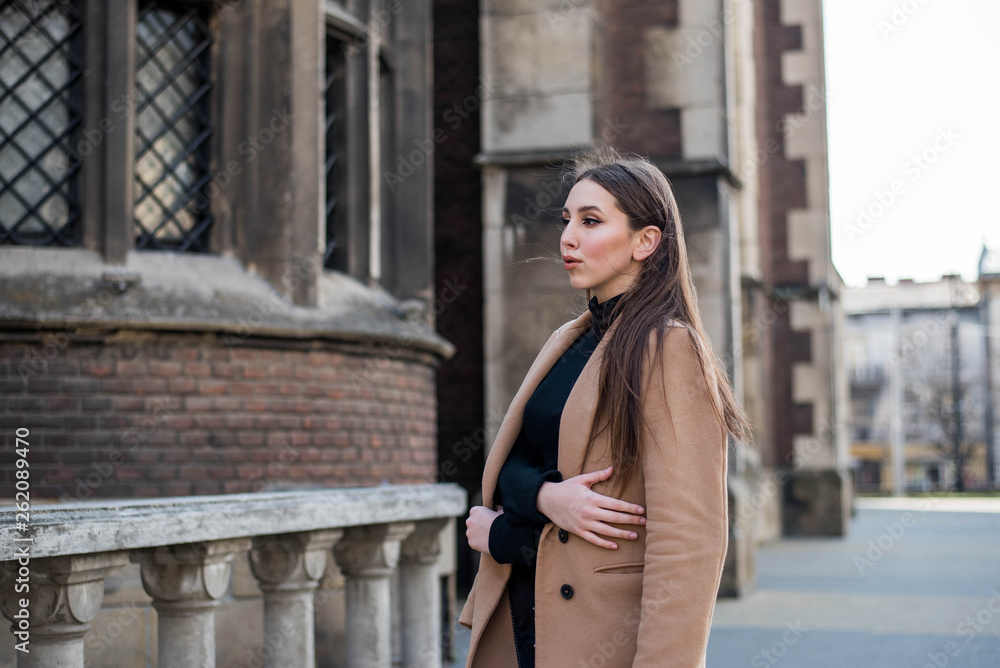 Fototapeta premium Young beautiful woman with long brown hair in sunglasses on a walk on a cloudy day. Fashionable sexy girl. Street fashion look. Cute student.