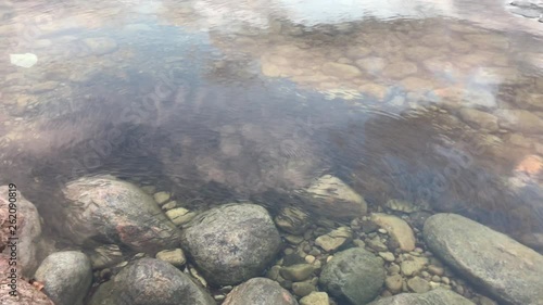 Huge amount of little fish Underwater Lake Simcoe Toronto Ontario