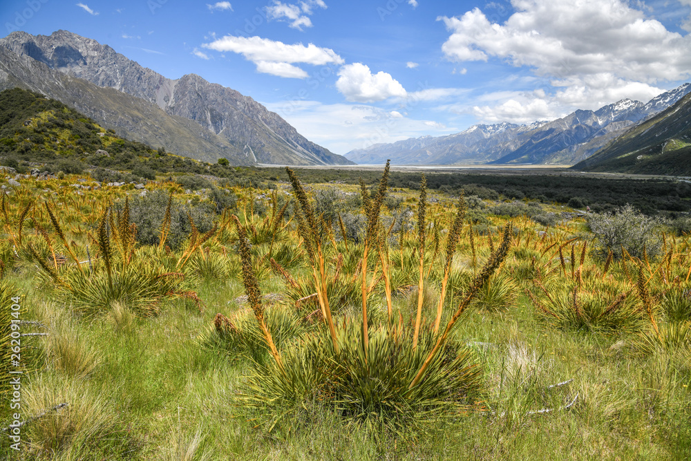 Naklejka premium Tasman Valley New Zealand