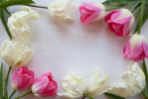 Light and pink tulips on white wooden background