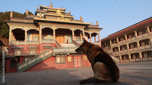 Schilderij op canvas Nala monastery in Nepal