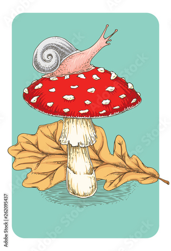 Postcard. Fly Agaric Mushroom, Leaf and Snail