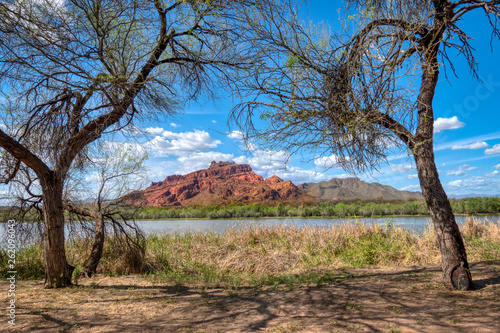  Red Mountain ( Mt. McDowell)